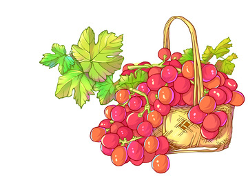 线稿风红色葡萄篮子包装水果食品插画元素
