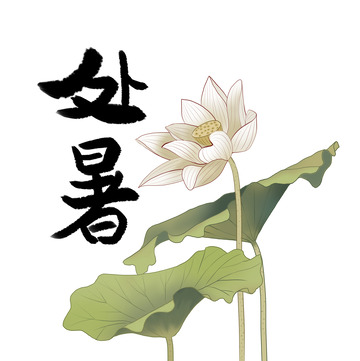 古典水墨工筆風(fēng)格白蓮處暑荷花