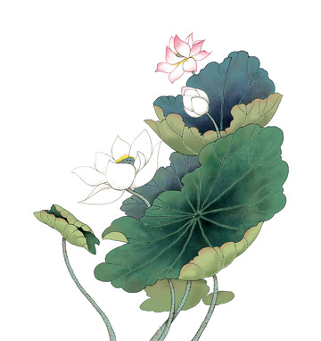 荷花荷葉國風(fēng)元素