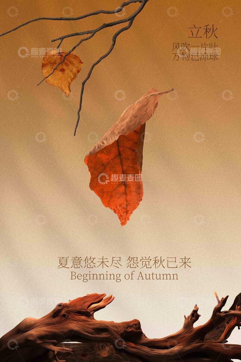 源文件下載【趣麥麥圖】-立秋節(jié)氣傳統(tǒng)活動(dòng)宣傳海報(bào)