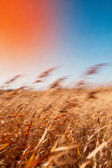 秋日氛圍感高級(jí)藝術(shù)海報(bào)3