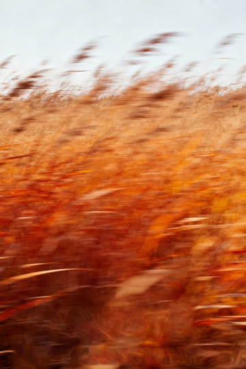 秋日氛圍感高級(jí)藝術(shù)海報(bào)9