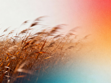 秋日氛圍感高級(jí)藝術(shù)海報(bào)2