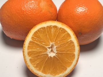 新鮮橙子特寫攝影圖片2