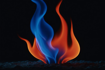 藍(lán)紅火焰特寫