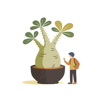 卡通風盆栽植物插畫設計素材