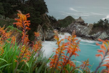 自然风光海岸岩石花卉摄影