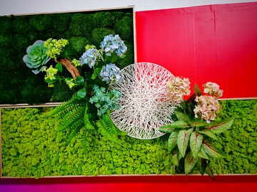现代花卉艺术展示
