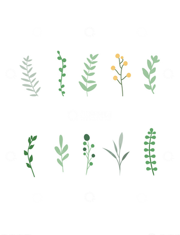 源文件下载【趣麦麦图】-绿色手绘绿植物花草树叶树枝装饰矢量图
