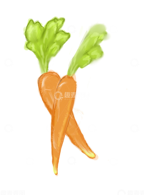 源文件下载【趣麦麦图】-橘色胡萝卜手绘插画