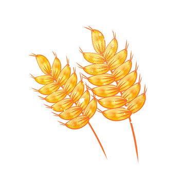 芒种水稻简约手绘元素