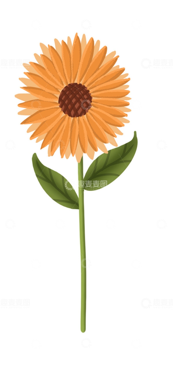 源文件下载【趣麦麦图】橙色向日葵手绘端午素材