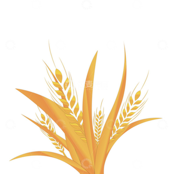 源文件下载【趣麦麦图】金色小清新二十四节气芒种节日