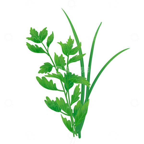 源文件下载【趣麦麦图】手绘艾草端午节元素