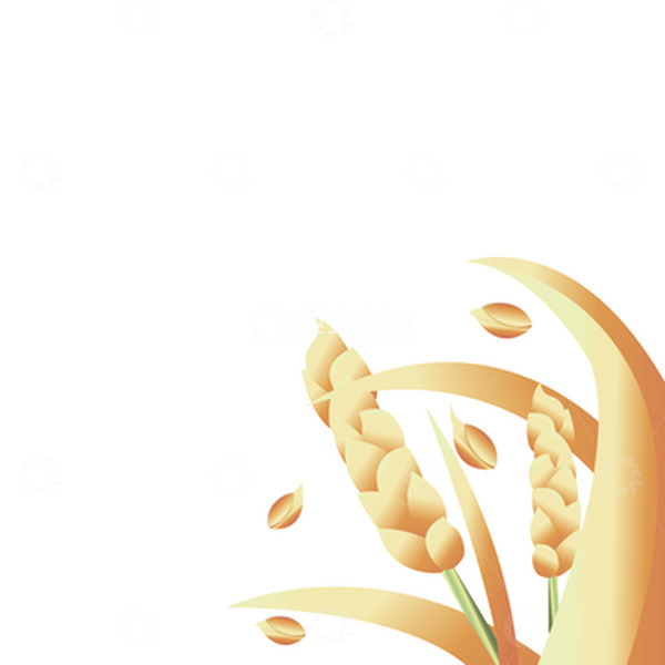 源文件下载【趣麦麦图】金色简约二十四节气芒种麦穗