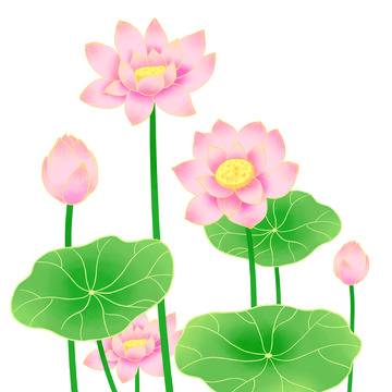 清新夏日国风荷花元素