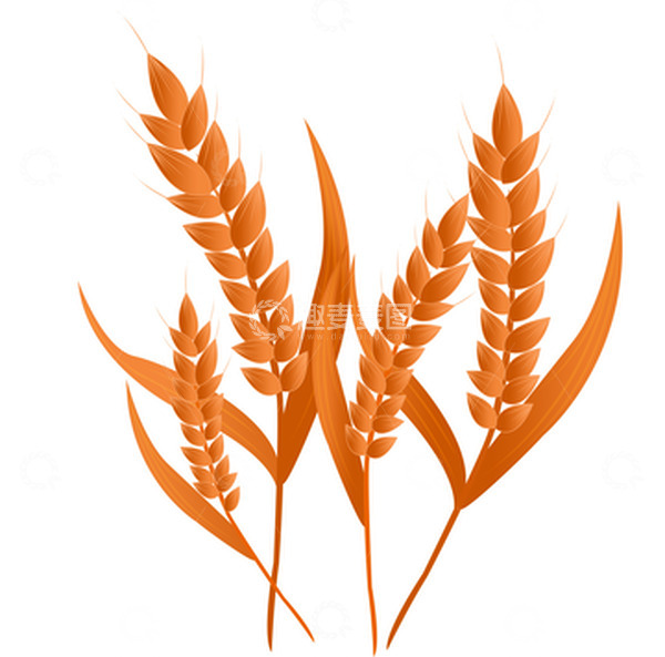 源文件下载【趣麦麦图】芒种农作物小麦