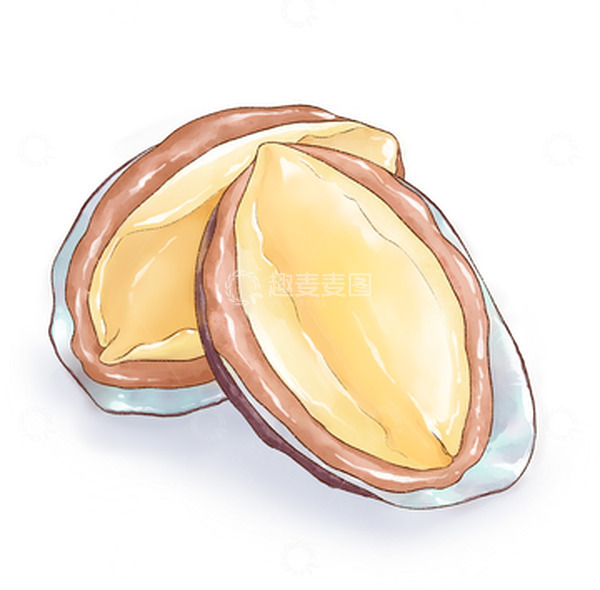 源文件下载【趣麦麦图】水彩手绘海鲜鲍鱼