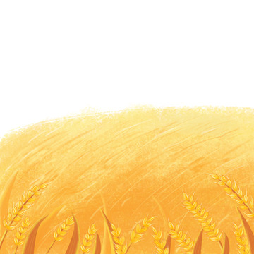 金黄麦田手绘芒种元素