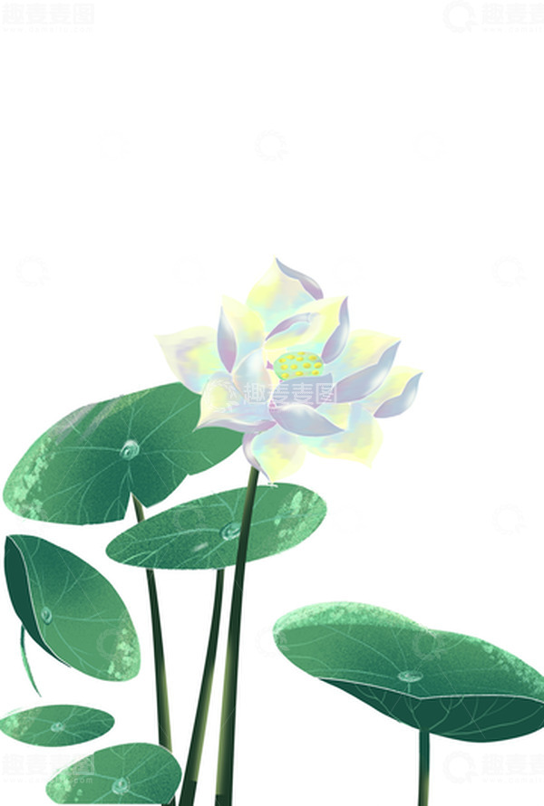 源文件下载【趣麦麦图】绿色手绘荷花荷叶夏至插画元素