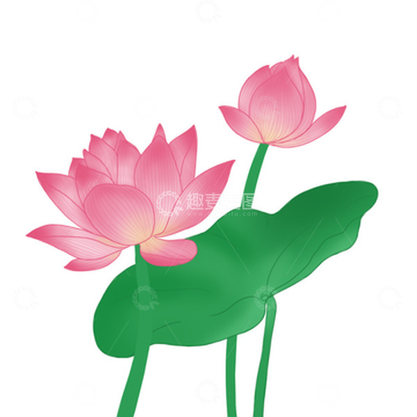 源文件下载【趣麦麦图】绿色小清新夏至荷花荷叶夏日手绘图