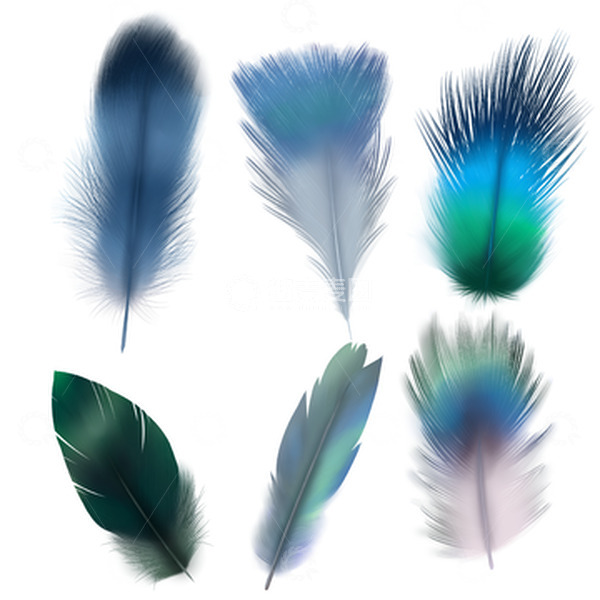 源文件下载【趣麦麦图】蓝色渐变羽毛