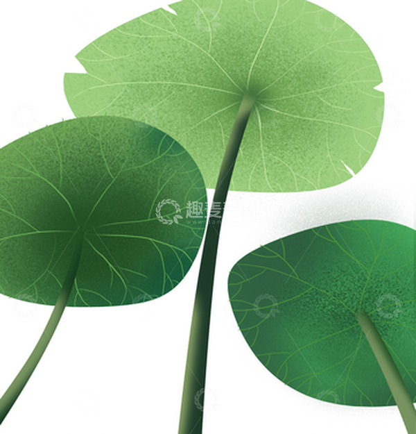 源文件下载【趣麦麦图】绿色小清新夏至荷叶插画元素