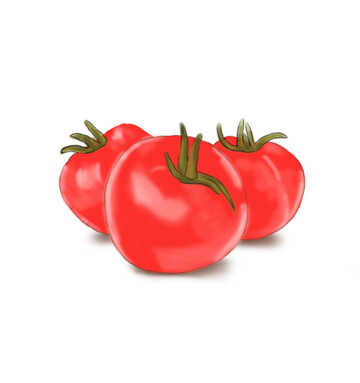 红色西红柿番茄蔬菜透明底手绘