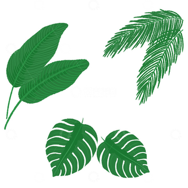 源文件下载【趣麦麦图】夏日热带植物夏至元素