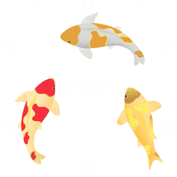 源文件下载【趣麦麦图】鲤鱼夏至元素