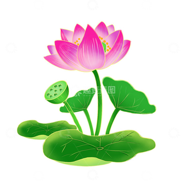源文件下载【趣麦麦图】绿色小清新夏至荷花
