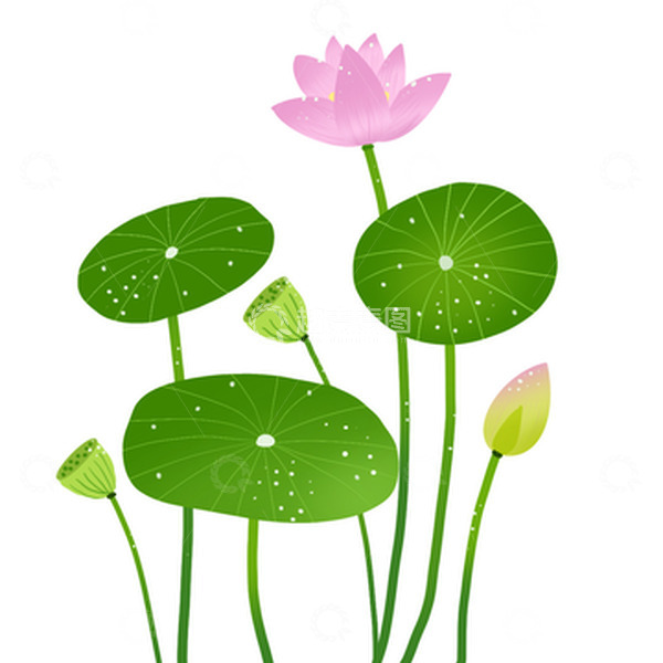 源文件下载【趣麦麦图】夏至小清新荷花