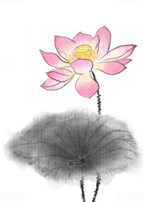 源文件下载【趣麦麦图】红色粉色黑色水墨风格荷花荷叶夏至手绘图