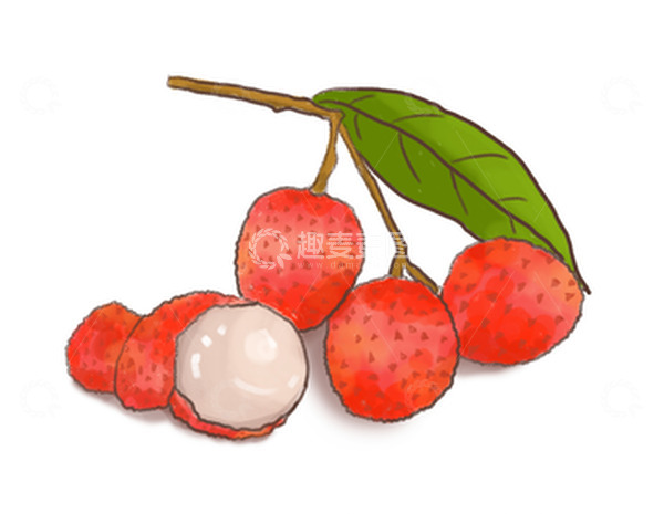源文件下载【趣麦麦图】红色荔枝夏日水果手绘