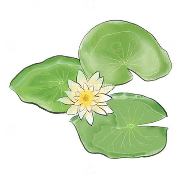 源文件下载【趣麦麦图】绿色黄色小清新睡莲夏至水墨手绘图