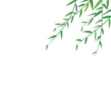 绿色手绘柳枝树枝植物叶子装饰元素
