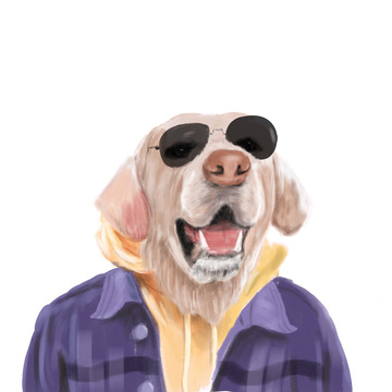 可爱带眼镜金毛狗狗半身手绘