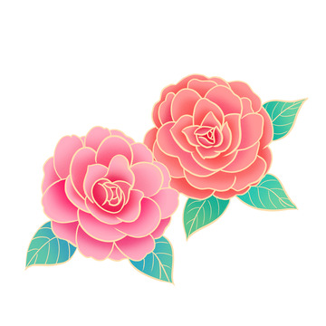 粉色金边茶花国潮元素