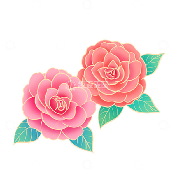 源文件下载【趣麦麦图】粉色金边茶花国潮元素