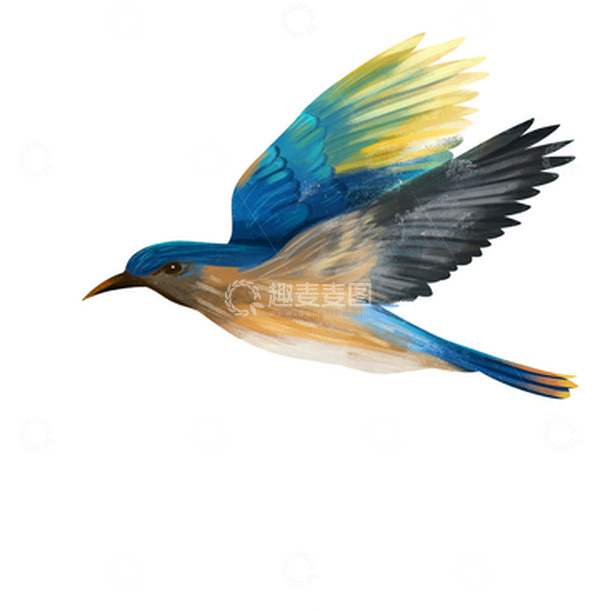 源文件下载【趣麦麦图】手绘 喜鹊 夏至动物装饰元素