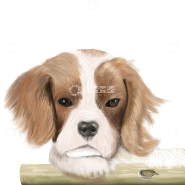 源文件下载【趣麦麦图】手绘可爱小猎犬长毛狗狗