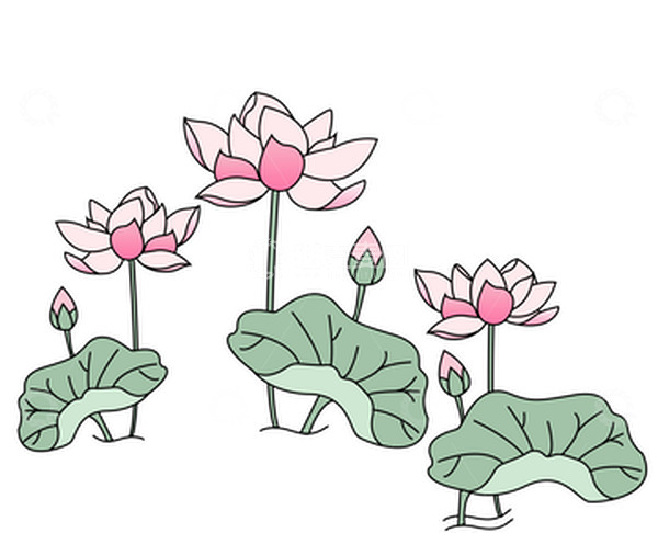 源文件下载【趣麦麦图】夏至粉色的荷花