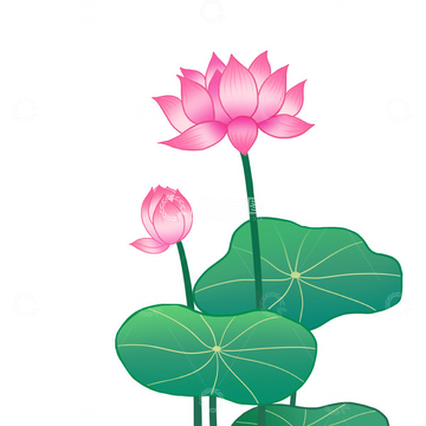 源文件下载【趣麦麦图】国潮荷花小暑元素