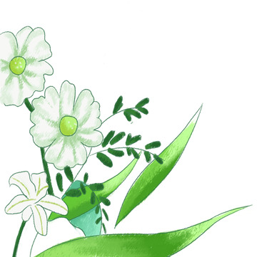绿色 小暑 手绘植物元素