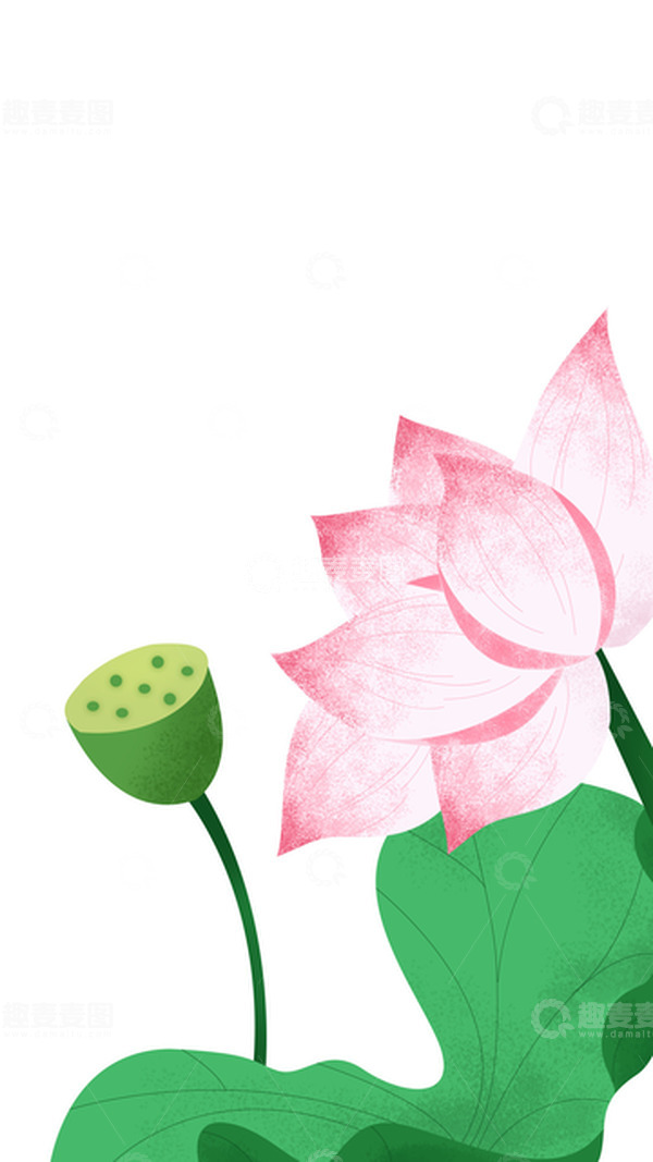 源文件下载【趣麦麦图】绿色清新小暑荷花植物花卉古风素材