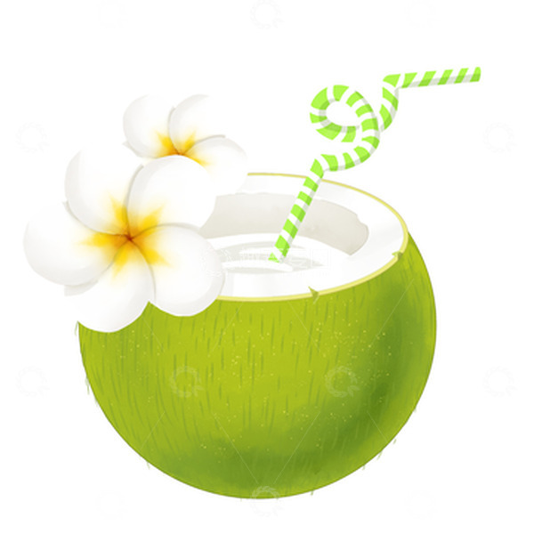 源文件下载【趣麦麦图】椰子鸡蛋花大暑小暑夏至饮品水果水彩手绘