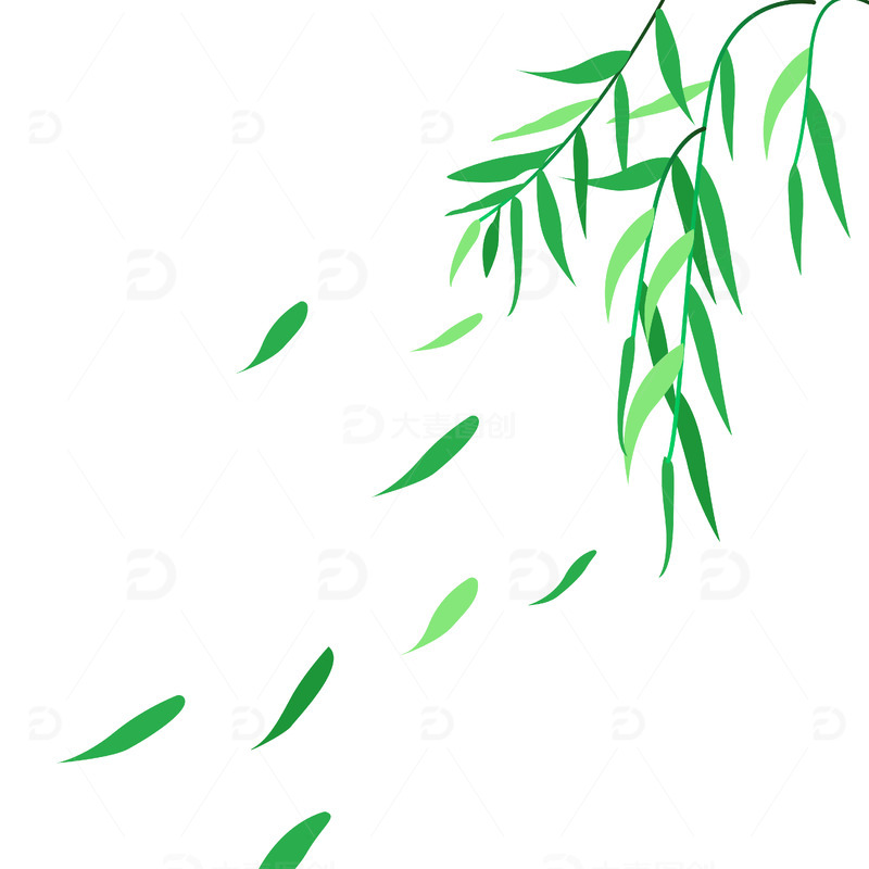 绿色柳叶小暑大暑漂浮叶子