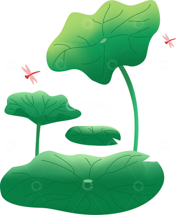 源文件下载【趣麦麦图】绿色小清新荷叶