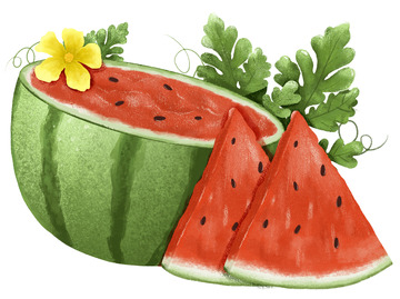 绿色夏季西瓜 手绘噪点风大尺寸西瓜