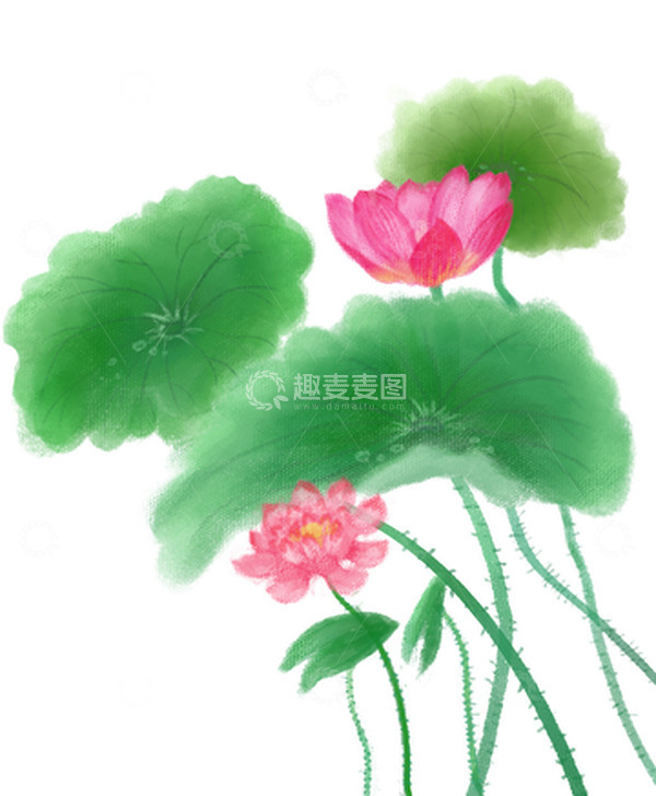 源文件下载【趣麦麦图】绿色红色粉色小清新荷花荷叶小暑手绘插画